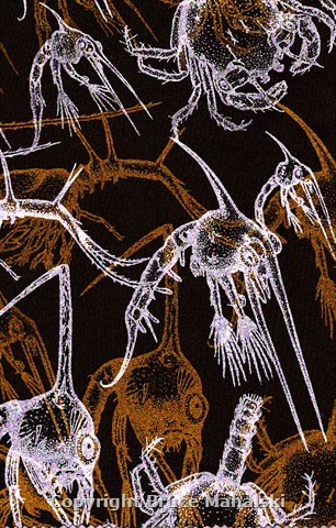 Plankton Fabric  -Gold and white